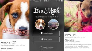 tinder-dogs-hed2-2014